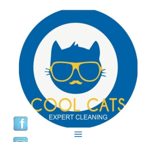 Cool cats ac cleaning services