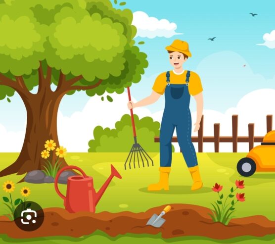 Gardener / cleaning and maintenance