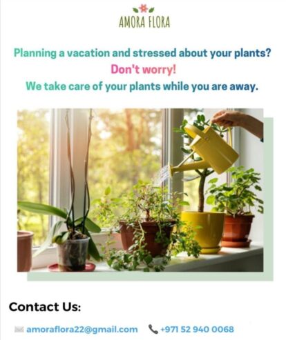 AMORA FLORA-We take care of your plants while you are away.