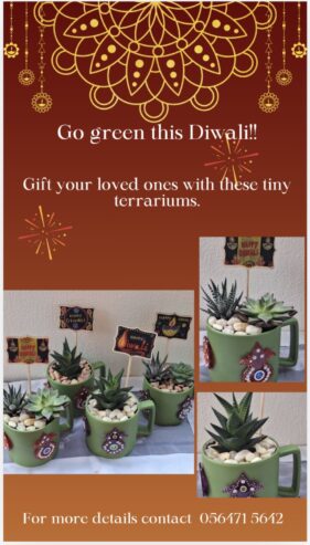 Diwali terrarium gift