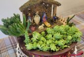 Christmas inspired nativity terrarium