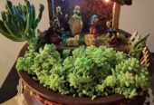 Christmas inspired nativity terrarium