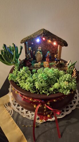 Christmas inspired nativity terrarium