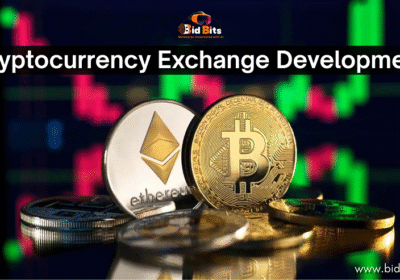Crypto-Exchange-Development