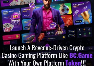 Dappsfirm-BC.Game-Clone-Script-4