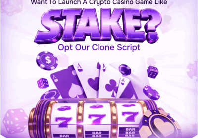 stake-clone-script-29-12-2025
