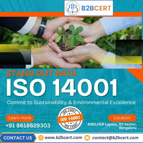 How ISO 14001 Certification Services in San Antonio Strengthen Environmental Management and Regulatory Compliance