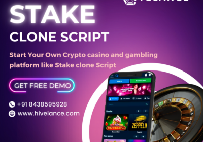 Stake-Clone-Script-2