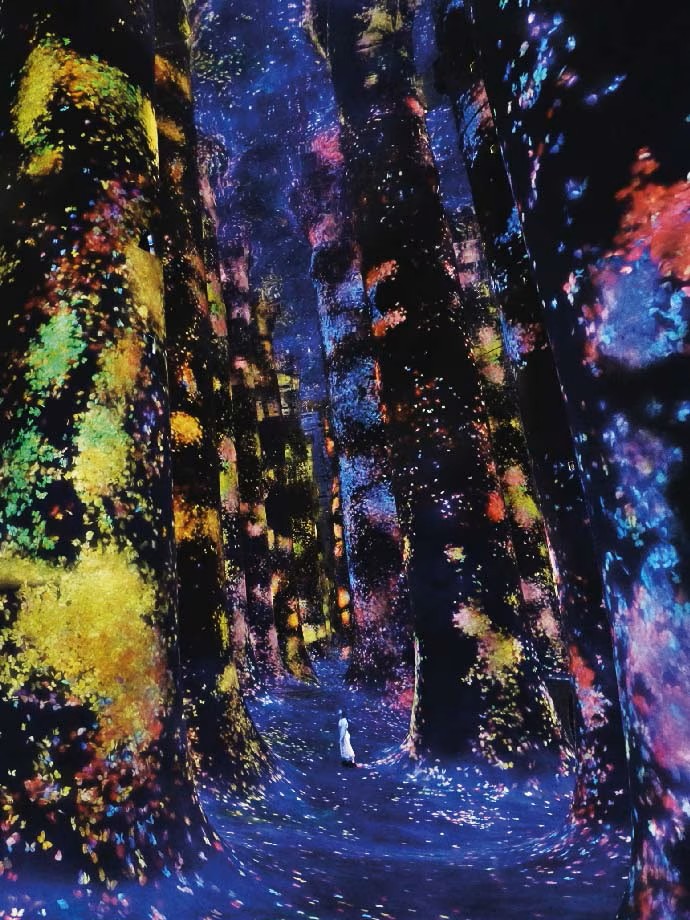 Experience the magic of an interactive museum with your family at teamLab Phenomena Abu Dhabi