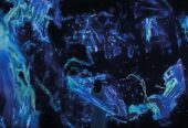 Experience the magic of an interactive museum with your family at teamLab Phenomena Abu Dhabi
