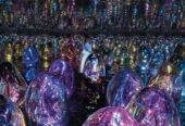 Experience the magic of an interactive museum with your family at teamLab Phenomena Abu Dhabi