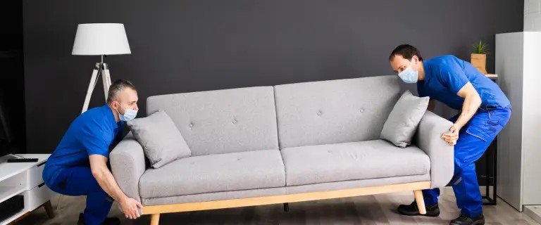 Movers in Dubai: Top Rated Company for Stress-Free Relocation