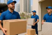 Movers in Dubai: Top Rated Company for Stress-Free Relocation