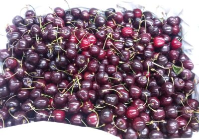 Cherry