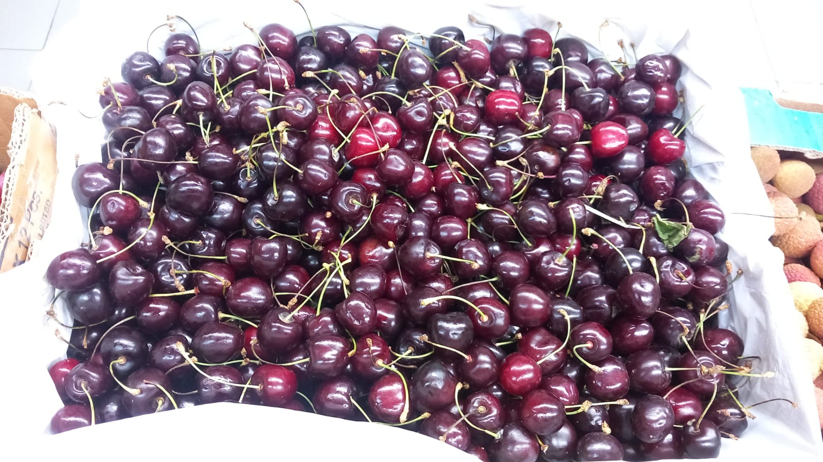 Cherry