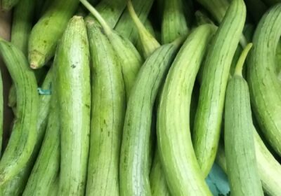 Kakdi-Cucumber