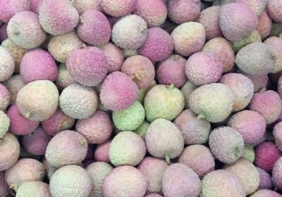 Lychee