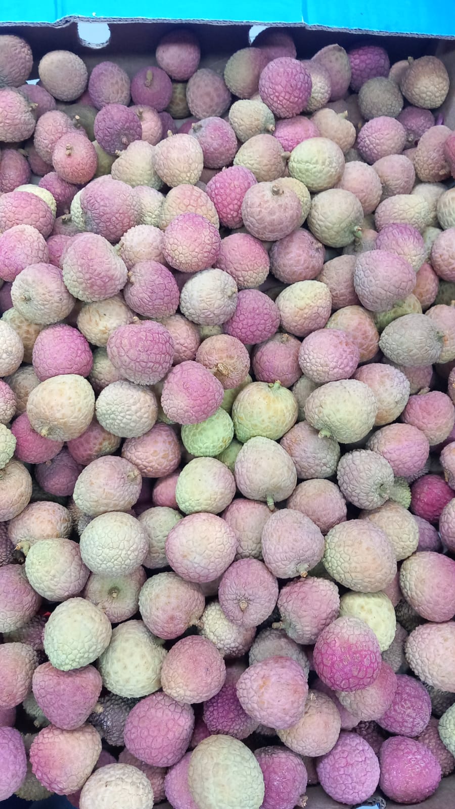Lychee