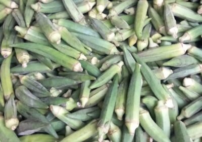 Okra-Ladys-Finger