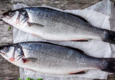 Sea-Bass