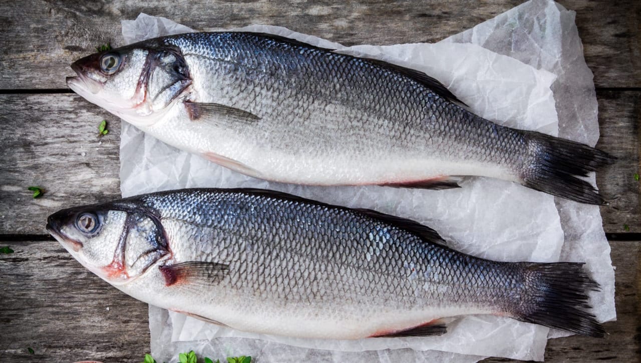 Sea Bass