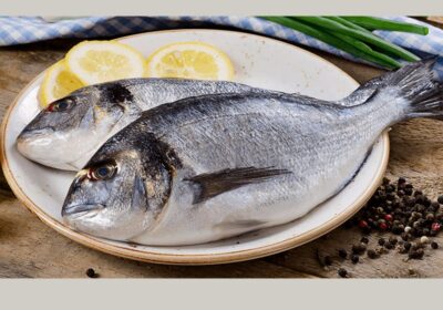 Sea-Bream