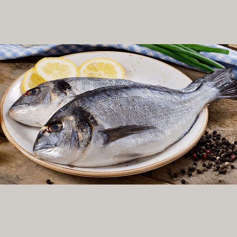 Sea Bream