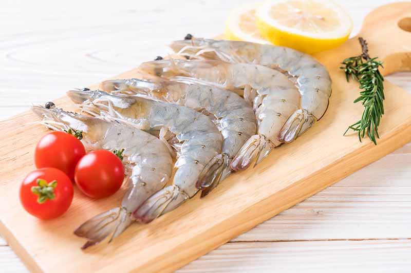 Shrimp 20/30