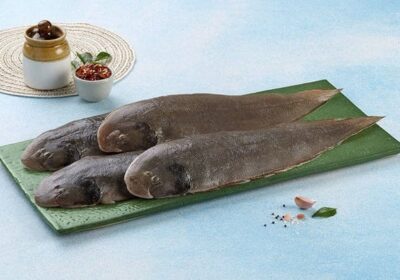 Sole-Fish