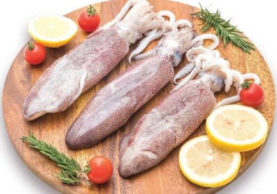 Squid