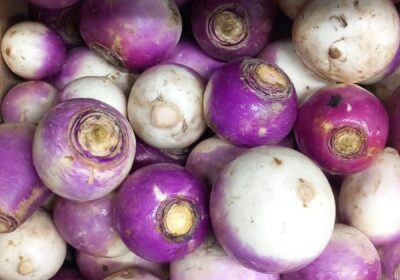 Turnip