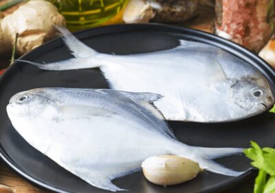 White-Pomfret