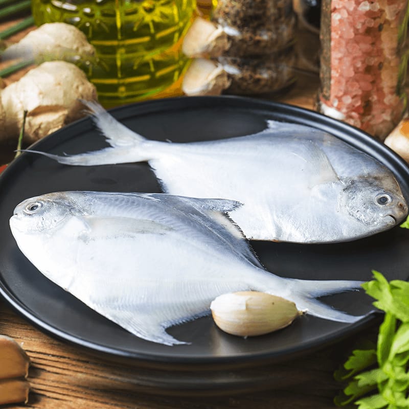 White Pomfret