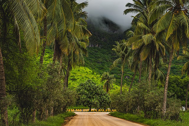 Still Deciding Where to Travel This Summer? Experience the Magic of Salalah Khareef